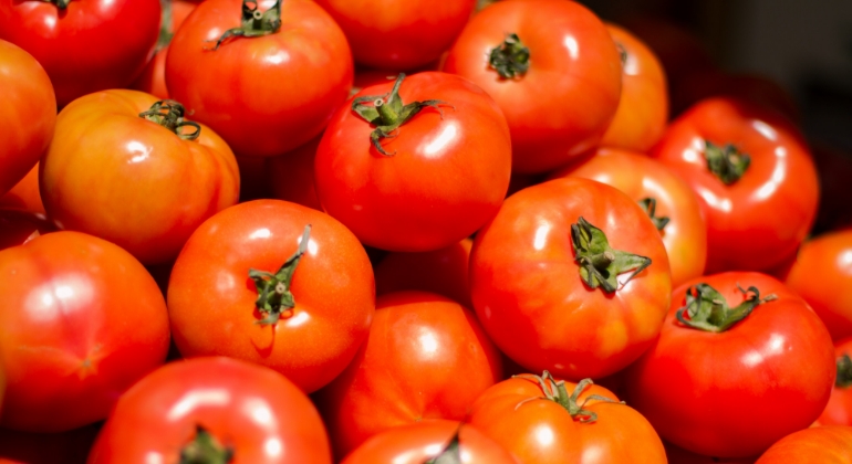 Tomato tomato: How India can fix price volatility with the right infrastructure